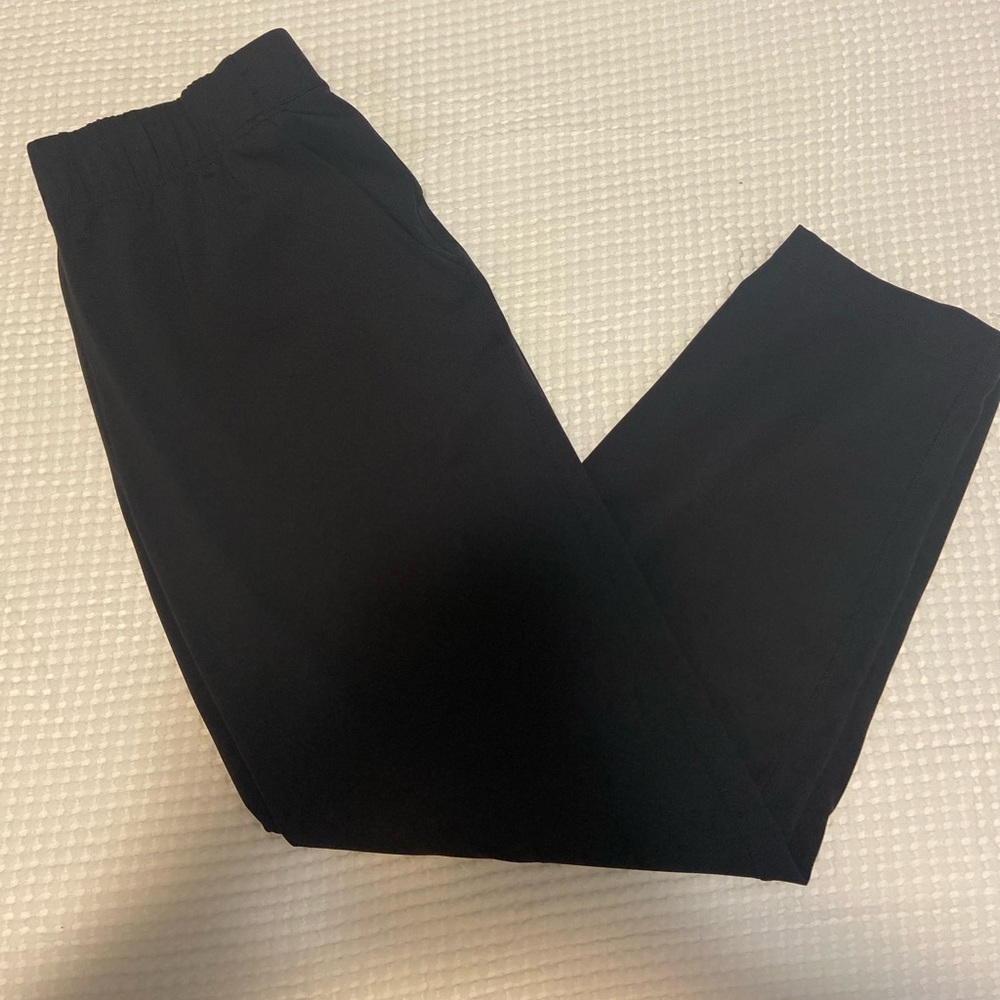 Aritzia - Babaton weekender pants - Size XL